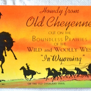 Vintage carte postale du WYOMING Old Cheyenne Wild West Cowboy cheval souvenir carte postale utilisée souvenirs papier publicitaire éphémères PanchosPorch