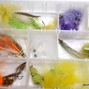 May include: A clear plastic tackle box filled with colorful fishing flies. The flies feature various colors, including yellow, orange, green, and purple, with feather and thread details. The box is divided into compartments for organization.