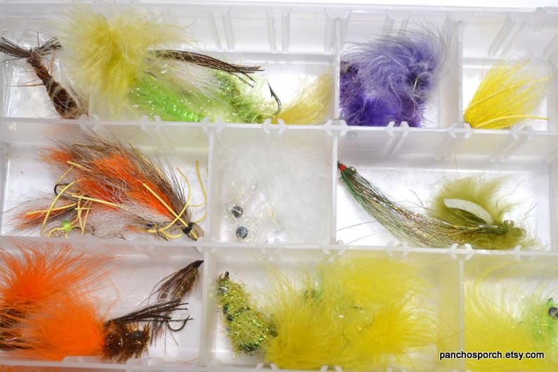 May include: A clear plastic tackle box filled with colorful fishing flies. The flies feature various colors, including yellow, orange, green, and purple, with feather and thread details. The box is divided into compartments for organization.