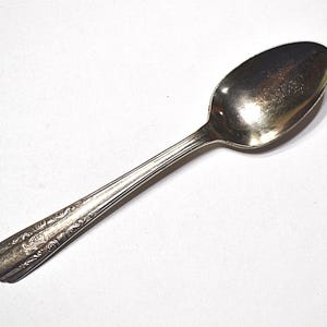 May include: A silver spoon with an oval bowl and a long handle. The handle has a decorative floral pattern near the end. The spoon is set against a white background.