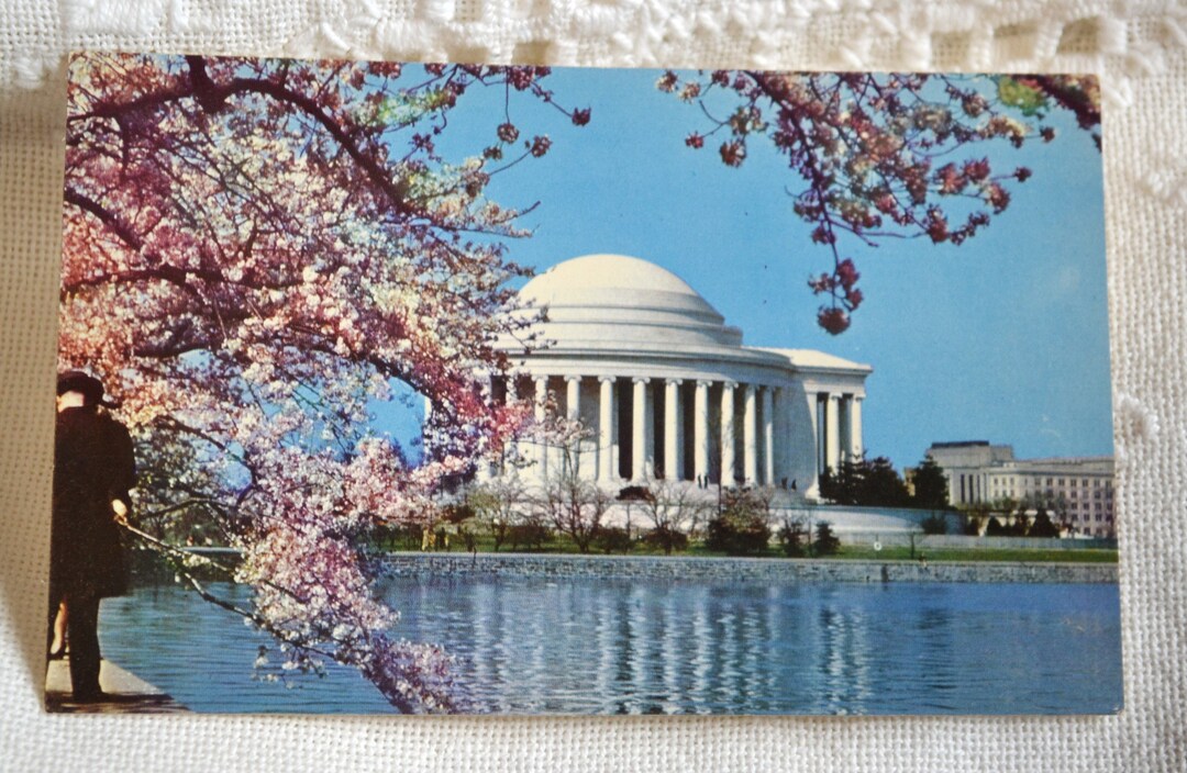 Vintage Washington DC Postcard: Jefferson Memorial, Cherry Blossoms - Etsy