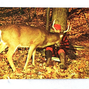 Carte postale vintage DEER HUNTER, scène d'automne, homme endormi, carte postale curieuse de voyage sur la route, souvenirs souvenirs, papier éphémères PanchosPorch