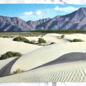 vintage CALIFORNIA Carte postale Southern Sand Dunes Palm Springs Souvenir Carte postale inutilisée Souvenirs Publicité Papier Ephemera PanchosPorch