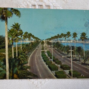Vintage carte postale Floride Clearwater Causeway palmiers Americana vacances souvenir carte postale souvenirs papier éphémères PanchosPorch