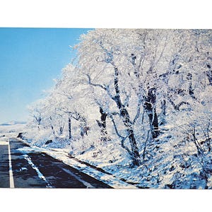 May include: A vintage postcard featuring a winter landscape. A snow-covered road leads into the distance, flanked by trees heavily laden with snow. The sky is a clear, bright blue. The overall scene evokes a sense of cold and tranquility.