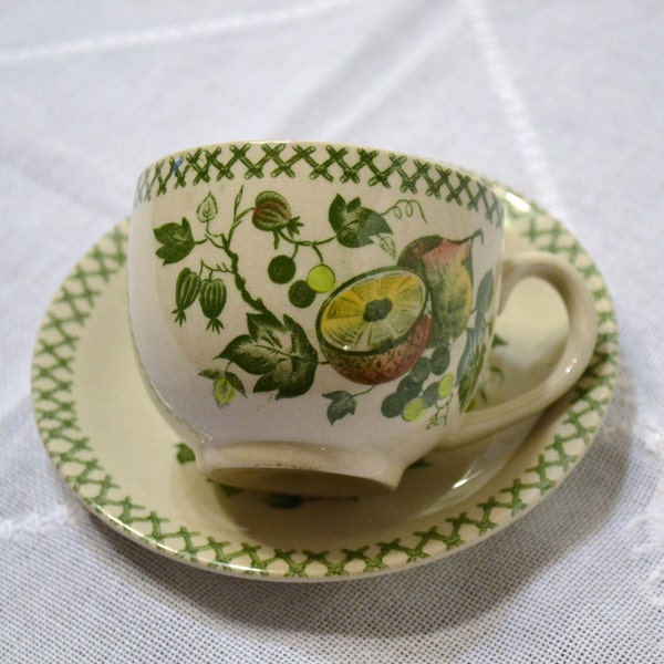 RESERVED Vintage Staffordshire Old Granite Arbor Cup and Saucer England Johnson Brothers Panchosporch