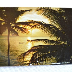 vintage FLORIDE Carte postale Coucher de soleil Scène Bateaux de pêche Palmiers Souvenir Carte postale Americana Souvenirs Papier Éphémère PanchosPorch