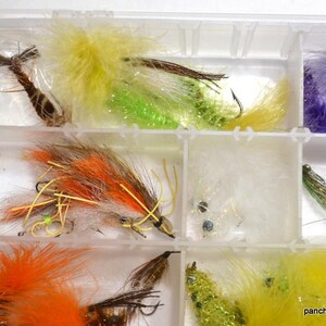 May include: A clear plastic tackle box filled with colorful fishing flies. The flies feature various colors, including yellow, orange, green, and purple, with feathers and synthetic materials. The flies are arranged in individual compartments.