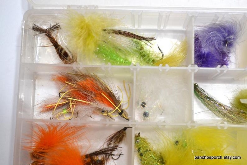 May include: A clear plastic tackle box filled with colorful fishing flies. The flies feature various colors, including yellow, orange, green, and purple, with feathers and synthetic materials. The flies are arranged in individual compartments.