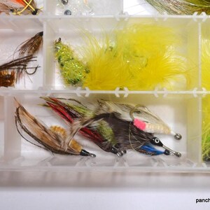 May include: A clear plastic tackle box filled with various colorful fishing flies. The flies feature feathers in orange, yellow, brown, and green, with silver hooks. Some flies have pink and blue accents.