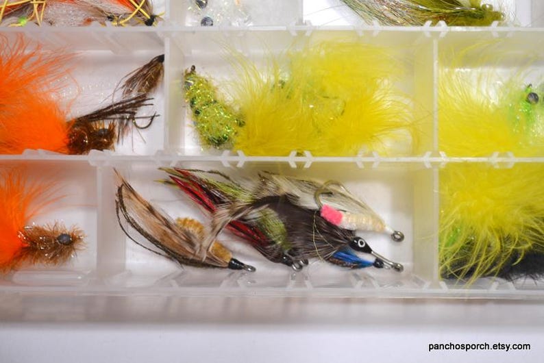 May include: A clear plastic tackle box filled with various colorful fishing flies. The flies feature feathers in orange, yellow, brown, and green, with silver hooks. Some flies have pink and blue accents.