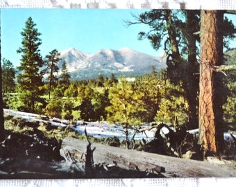 Vintage ARIZONA Postcard San Francisco Peaks Flagstaff Souvenir Unused Post Card Memorabilia Advertising Paper Ephemera PanchosPorch