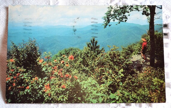 Oak Ridge Post Card Vintage Tennessee Postcards
