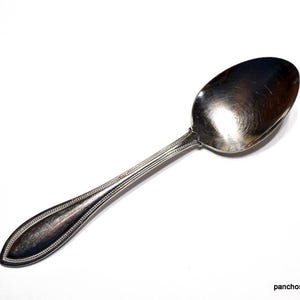 May include: A silver spoon with an oval bowl and a long, detailed handle. The handle has a decorative border with small, raised dots. The spoon is set against a white background.