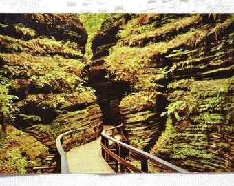 Vintage WISCONSIN Postcard Cold Water Canyon Moss Chamber Souvenir Post Card Memorabilia Advertising Paper Ephemera PanchosPorch