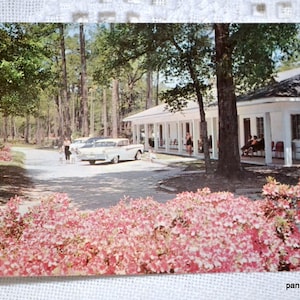 Vintage MISSISSIPPI carte postale Sea Gull Tourist Court Biloxi Americana Road Trip carte postale souvenirs tourisme papier éphémères PanchosPorch