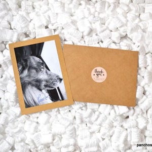 Puede incluir: Una fotograf&iacute;a en blanco y negro de un perro dentro de un marco marr&oacute;n, con el nombre "Pancho" escrito en cursiva. Un sobre marr&oacute;n con una pegatina de "gracias" est&aacute; al lado de la foto, sobre un lecho de cacahuetes de embalaje blancos.