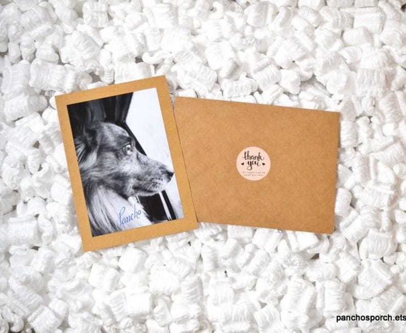 Puede incluir: Una fotograf&iacute;a en blanco y negro de un perro dentro de un marco marr&oacute;n, con el nombre "Pancho" escrito en cursiva. Un sobre marr&oacute;n con una pegatina de "gracias" est&aacute; al lado de la foto, sobre un lecho de cacahuetes de embalaje blancos.