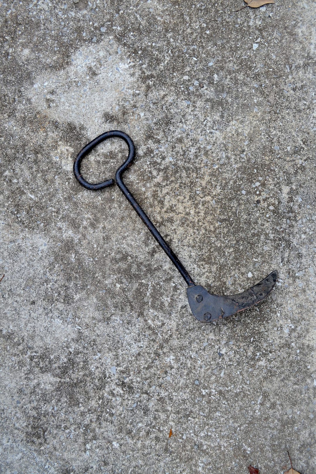 HELLOYOUNG Vintage Pumpkin Metal Sign Rustic Iron Decor for Bar Kitchen ...