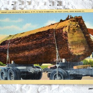 Carte postale vintage WASHINGTON OREGON, bûche géante en route vers une scierie, foresterie, carte postale souvenir, souvenirs, papier éphémères, panchos, porche