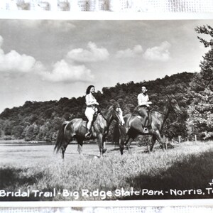 vintage Bridal Trail carte postale Big Ridge State Park TENNESSEE Souvenir carte postale vierge souvenirs publicité papier éphémère PanchosPorch