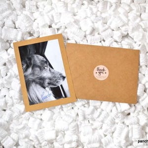 May include: A black and white photograph of a dog in a wooden frame, with the name "Pancho" written in cursive. A brown envelope with a "thank you" sticker is next to the photo, all nestled in white packing peanuts.
