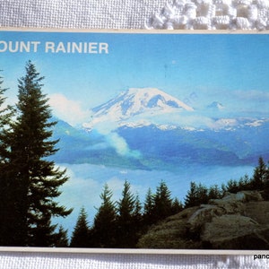 Carte postale vintage WASHINGTON Mount Rainier Stevens Canyon Road Americana Road trip souvenir carte postale souvenirs papier éphémères PanchosPorch