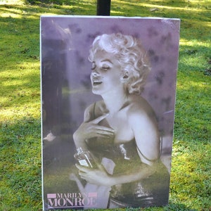 Marilyn Monroe in Art, Marilyn Monroe Photography