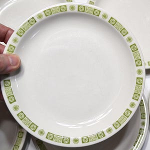 May include: White ceramic plate with a green floral pattern around the rim. The plate is held by a hand, and other plates are visible in the background. The plates have a simple, classic design.
