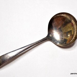 May include: A silver-colored ladle with a rounded bowl and a long, slender handle. The ladle is made of a shiny metal and reflects the surrounding environment. The handle has a slightly curved shape, and the bowl is smooth and polished.