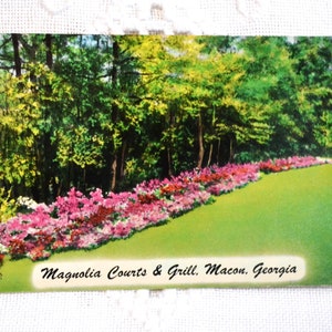 Carte postale GEORGIE vintage Magnolia Court Grill Macon Southern Road Trip souvenir carte postale souvenirs papier éphémères PanchosPorch