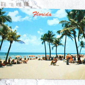 Carte postale vintage de Floride, scène de plage tropicale, palmiers, carte postale de vacances, souvenirs, papier, éphémères, PanchosPorch