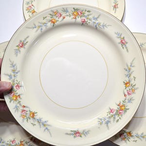 May include: Cream-colored ceramic plates with a floral design. The plates have a gold rim and a border of pink, yellow, and orange roses with blue accents. The plates are arranged in a stack.