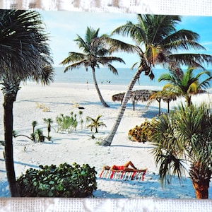 Vintage carte postale de scène de plage tropicale palmiers FLORIDE souvenir carte postale usagée souvenirs papier publicitaire éphémères PanchosPorch