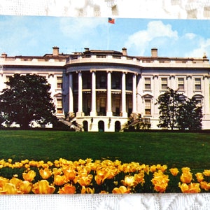 vintage WASHINGTON DC Carte postale Maison Blanche Fleurs Americana Road Trip Carte postale Souvenirs Tourisme Papier Éphémère PanchosPorch