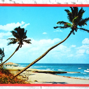 Carte postale vintage Floride Whispering Palms Tropical Beach Road Trip Carte postale utilisée Souvenirs Papier publicitaire Ephemera PanchosPorch