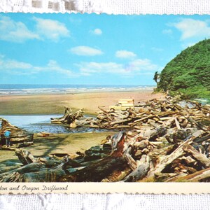 Vintage WASHINGTON OREGON carte postale Driftwood Beach Beachcomber Coast carte postale souvenirs souvenirs papier éphémères PanchosPorch