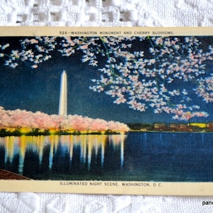 Carte postale vintage WASHINGTON DC Washington Monument fleurs de cerisier vue nocturne carte postale souvenir souvenirs papier éphémères PanchosPorch