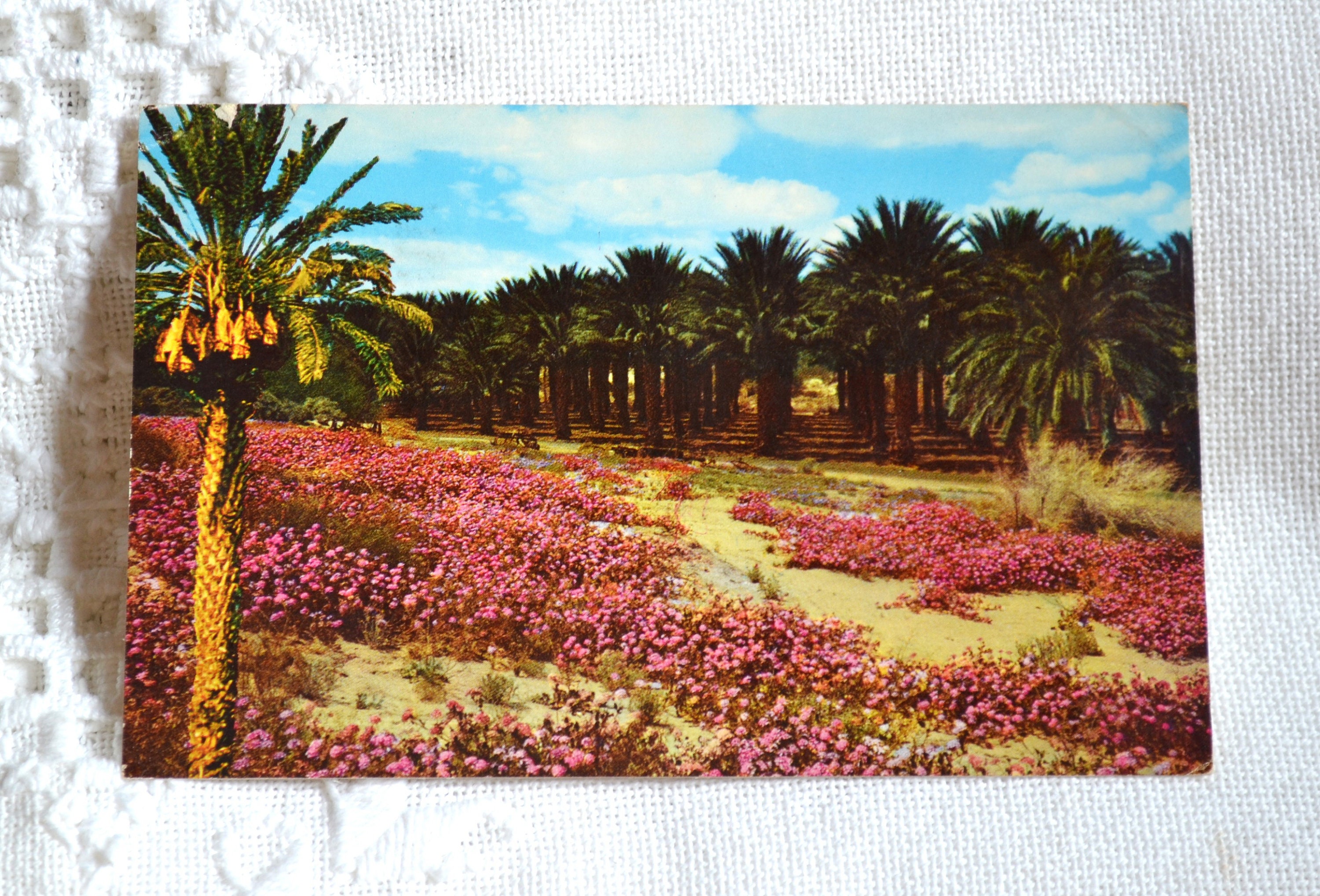 Vintage CALIFORNIA Postcard Palm Springs Coachella Valley Americana Post Card Memorabilia Advertising Paper Ephemera PanchosPorch
