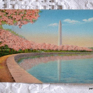 Carte postale vintage WASHINGTON DC Washington Monument fleurs de cerisier Potomac carte postale souvenir souvenirs papier éphémères PanchosPorch
