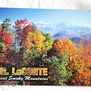 Vintage TENNESSEE carte postale Mount LeConte Great Smoky Mountains automne automne Americana carte postale souvenirs papier éphémères PanchosPorch