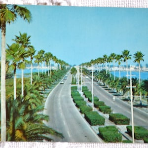 Vintage FLORIDE carte postale Clearwater Memorial Causeway Bridge vacances carte postale souvenirs souvenirs papier éphémères PanchosPorch
