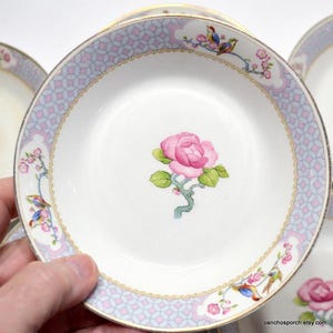 Vintage Johnson Bros Fruit Bowls - Set of 6 Floral Bird Plates