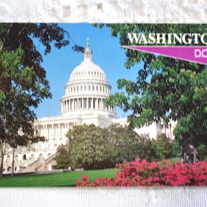 Carte postale vintage WASHINGTON DC Le Capitole Carte postale Fleurs printanières Souvenirs Tourisme Papier Ephemera PanchosPorch
