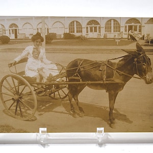Vintage ASBURY PARK Postcard New Jersey Donkey Cart Ride Mother Son 1913 Souvenir Photo Post Card Memorabilia Paper Ephemera PanchosPorch