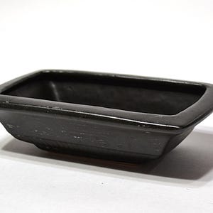 Peut inclure: Petit pot à bonsaï rectangulaire en céramique noire, avec un bord légèrement évasé. Le pot a une finition mate et un design simple et élégant. Idéal pour les petites plantes ou les succulentes.
