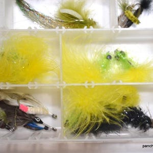 May include: A clear plastic tackle box filled with various colorful fishing flies. The flies feature yellow, green, black, and brown feathers, with some having glitter accents. The flies are designed for fly fishing.