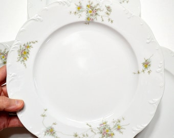Vintage Rosenthal Catherine Dinner Plates - Set of 4 Floral Plates, Made in Germany