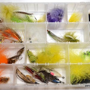 May include: A clear plastic tackle box filled with various colorful fishing flies. The flies feature vibrant feathers in shades of yellow, orange, green, and purple, with intricate designs and hooks. The box is divided into multiple compartments.
