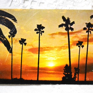 Vintage carte postale de Californie coucher de soleil palmiers Californie du Sud carte postale souvenir souvenirs américains papier éphémères PanchosPorch